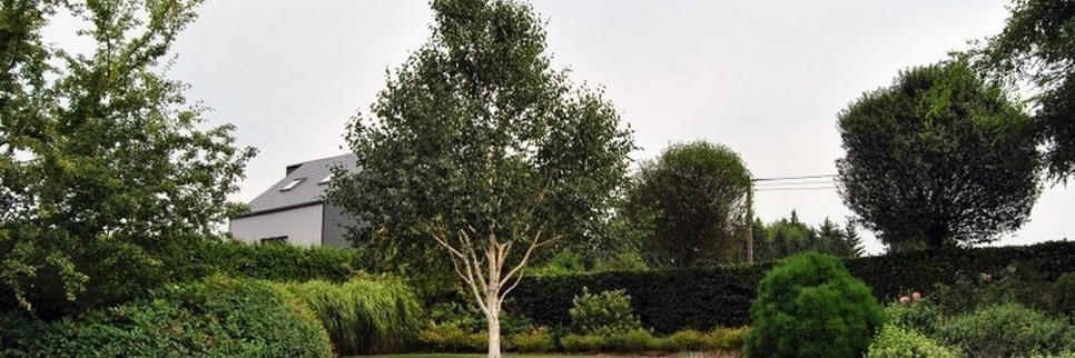 Conseils - Créer un Jardin