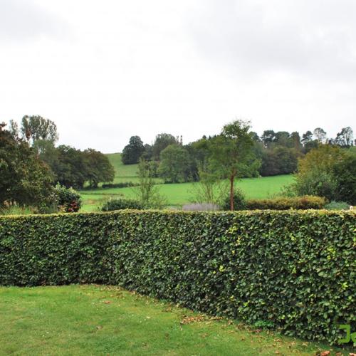 Jardisart - Mise en valeur de la maison