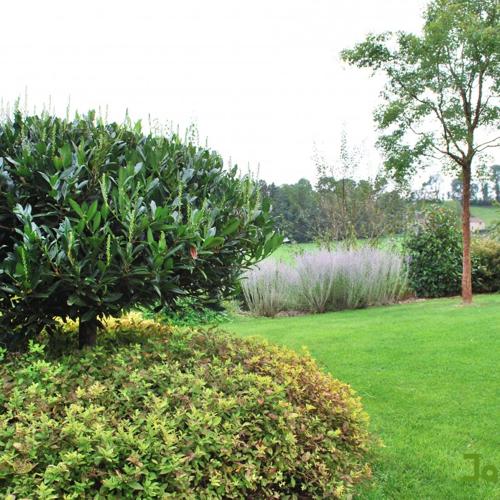 Jardisart - Mise en valeur de la maison