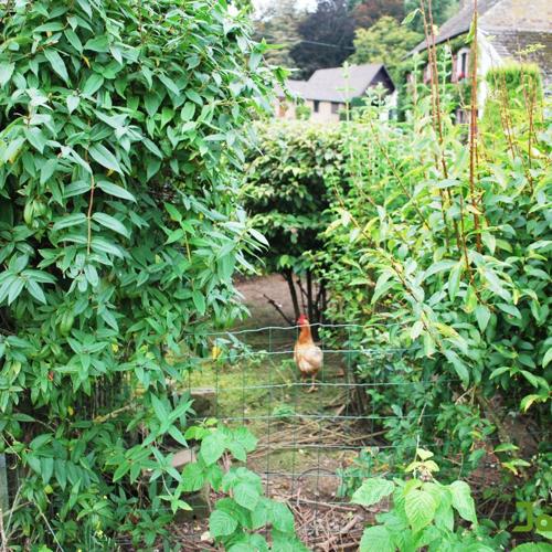 Jardisart - Mise en valeur de la maison