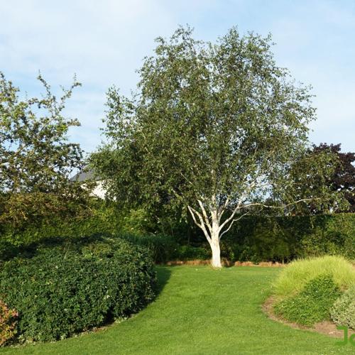 Jardisart - Le plaisir de flâner chez soi