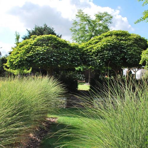 Jardisart - Jardin découverte