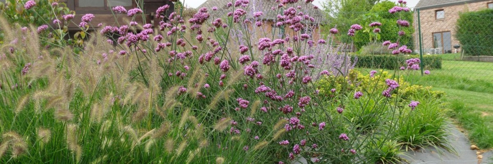 Architecte paysagiste - Créations -  Jardin en pente  à Braibant 