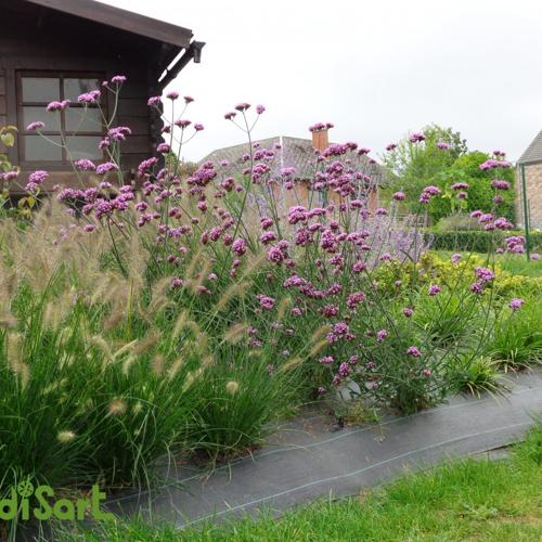 Jardisart - Jardin en pente