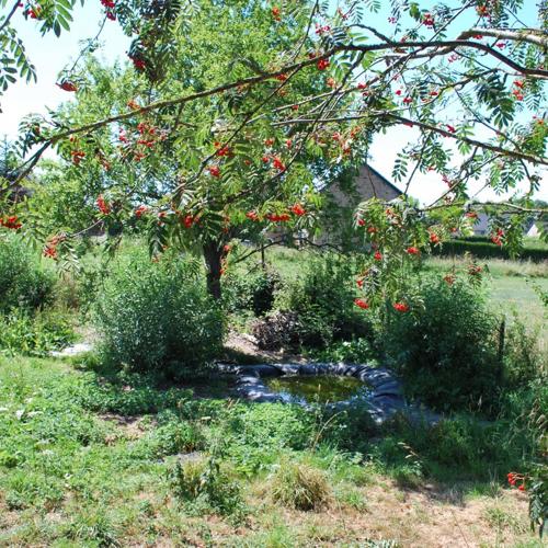 Jardisart - Jardin nourricier