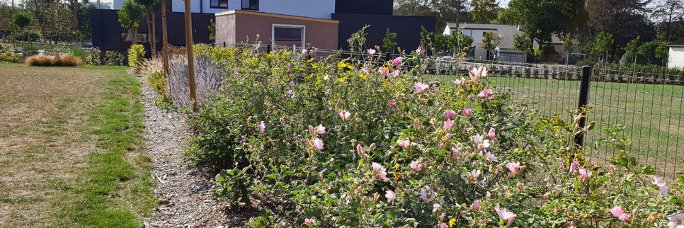 Architecte paysagiste - Créations -  Tout en simplicité  à Malonne 