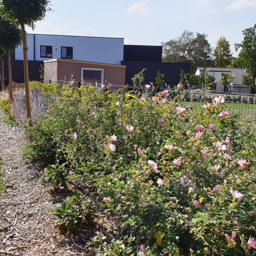 Jardisart - Tout en simplicité