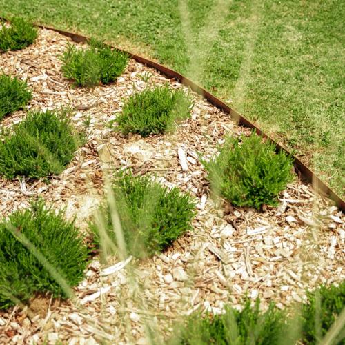 Jardisart - Fleurs à cueillir, fruits à savourer