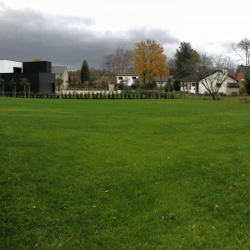 Jardisart - Créations de gazon