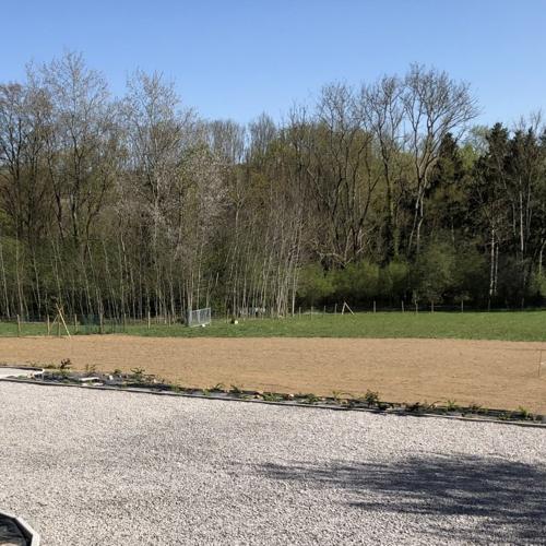 Jardisart - Créations de gazon