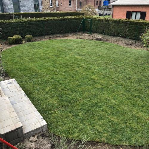 Jardisart - Créations de gazon