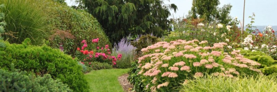 Architecte paysagiste - Créations -  Plantations 