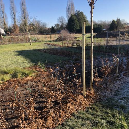 Jardisart - Plantations