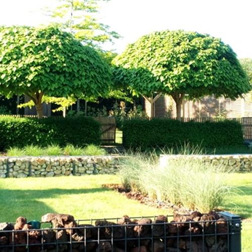 Jardisart - Plantations