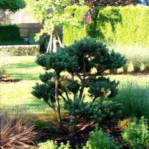 Jardisart - Plantations