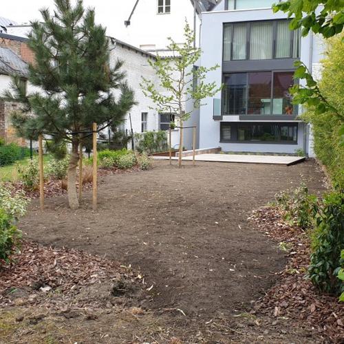 Jardisart - Plantations de fortes plantes