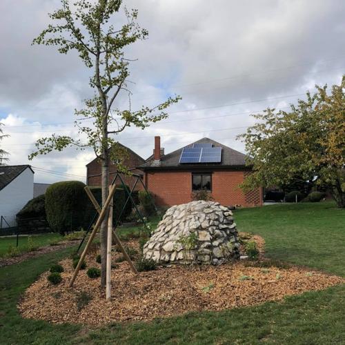 Jardisart - Plantations de fortes plantes