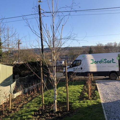 Jardisart - Plantations de fortes plantes