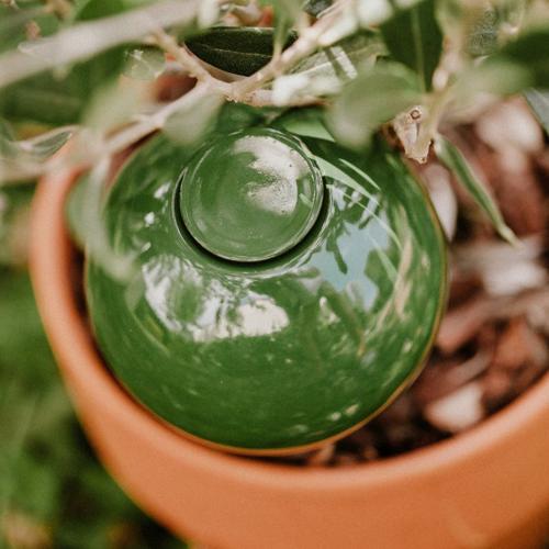 Jardisart - Magasin - Mini ollas à planter