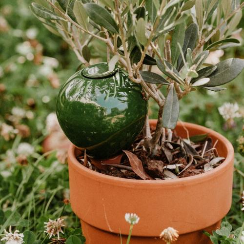 Jardisart - Magasin - Mini ollas à planter