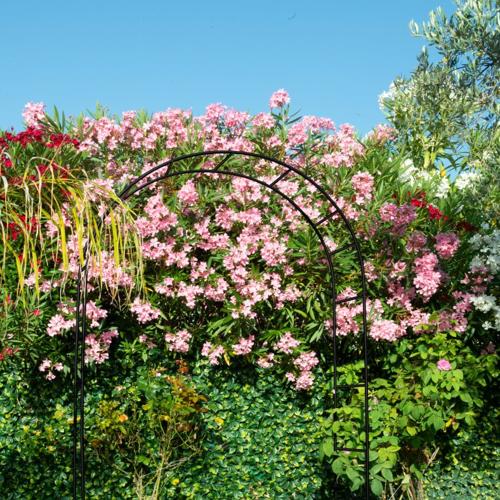 Jardisart - Magasin - Arche Basics Louis Moulin