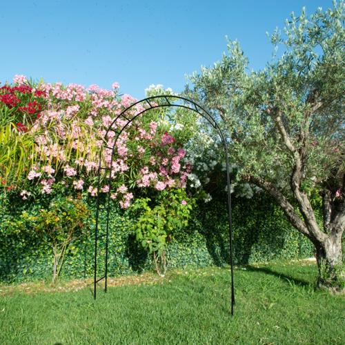 Jardisart - Magasin - Arche Basics Louis Moulin