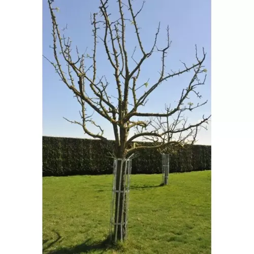 Jardisart - Magasin - Corset métal 6 branches