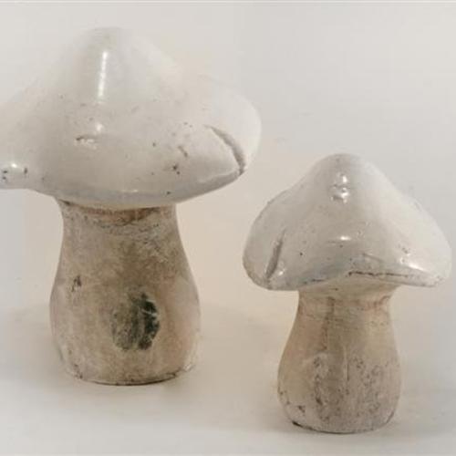 Champignons