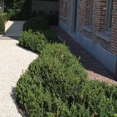 Jardisart - Magasin - Bordures écologiques Ecolat