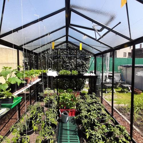 Jardisart - Magasin - Serre Prestige R305