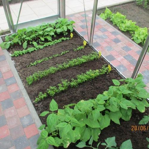 Jardisart - Magasin - Serre Prestige R204