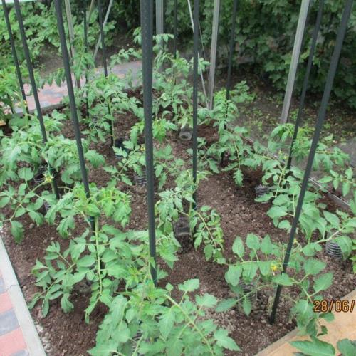 Jardisart - Magasin - Serre Prestige R204