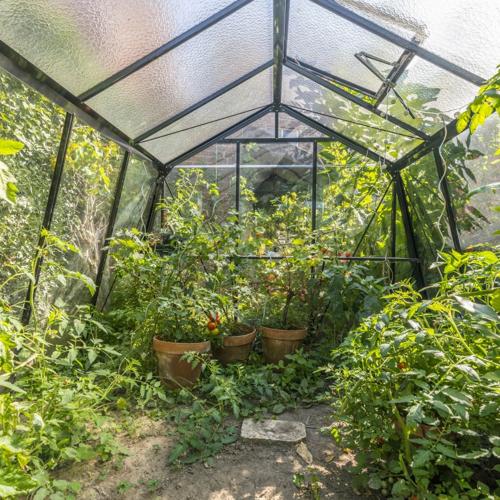 Jardisart - Magasin - Serre Prestige S208