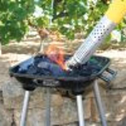 Jardisart - Magasin - Désherbeur électrique "Green Power" Evolution