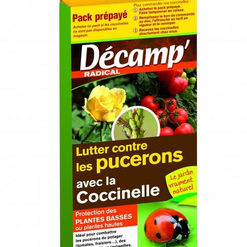 Jardisart - Magasin - Lutter contre les pucerons ( plantes basses )