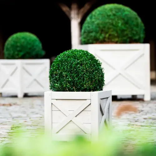 Jardisart - Magasin - Bac 'Populus G'