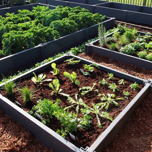 Bacs potager en plastique recyclé