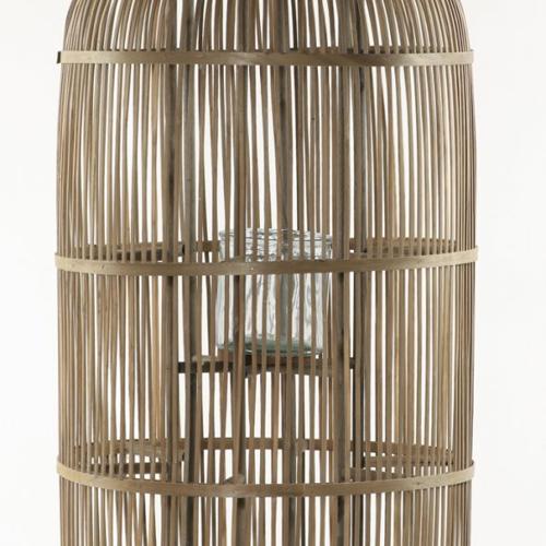 Jardisart - Magasin - Chinalantern naturel