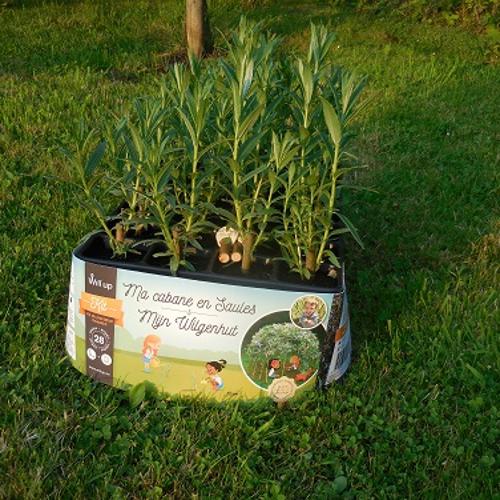 Jardisart - Magasin - Ma cabane en saule