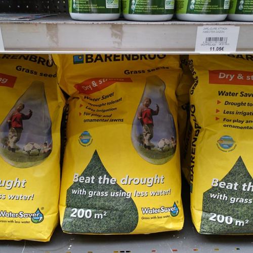Jardisart - Magasin - Semences gazon Water Saver
