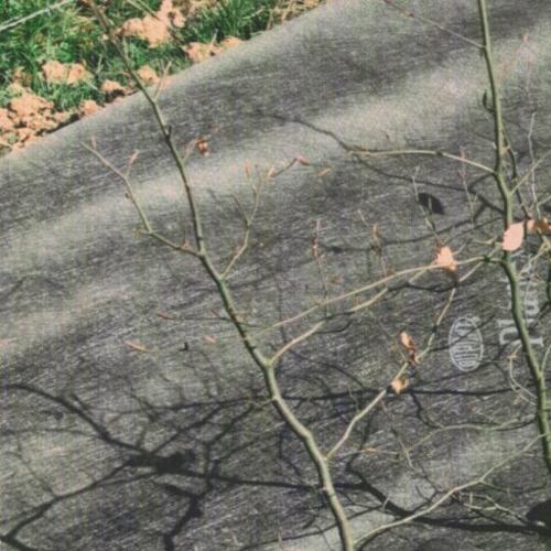 Jardisart - Magasin - Plantex® Premium 68 g/m²