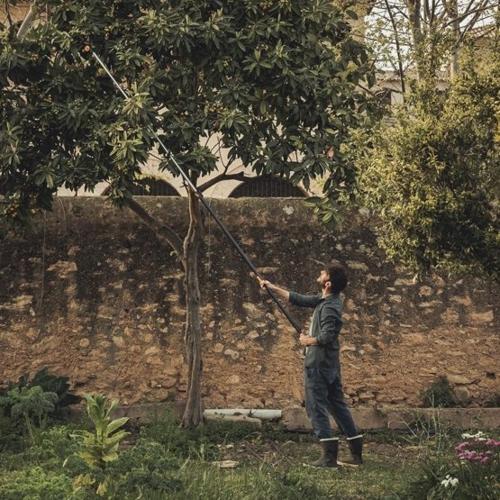 Jardisart - Magasin - Coupe-branches télésopique multifonctions PowerGear X  UPX86