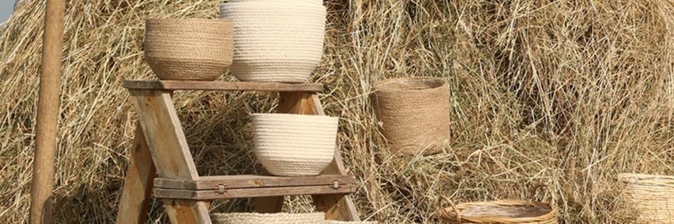 Jardisart - Magasin - 