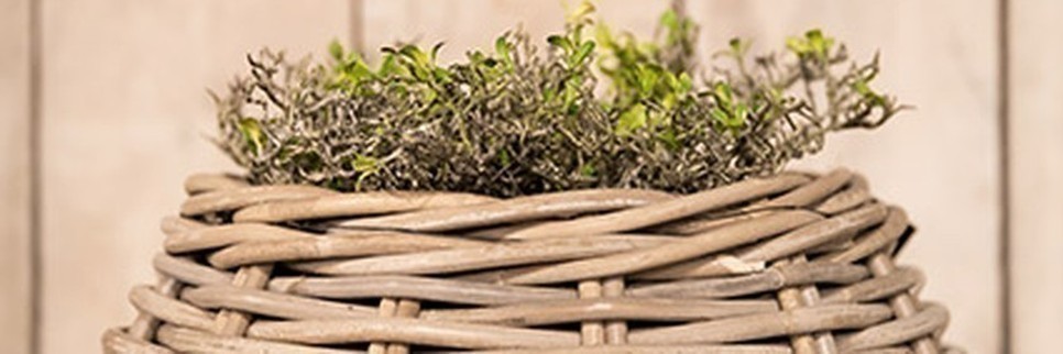 Jardisart - Magasin - 