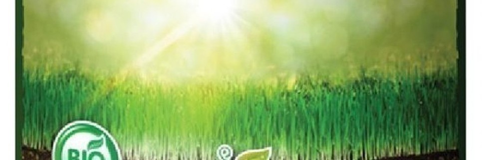 Jardisart - Magasin - 