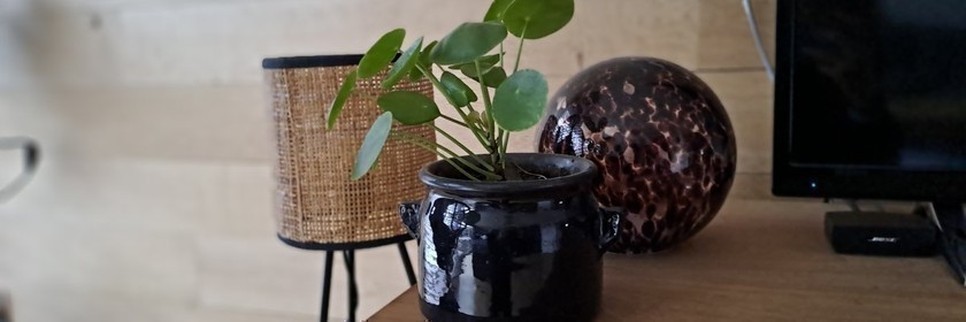 Jardisart - Magasin - 