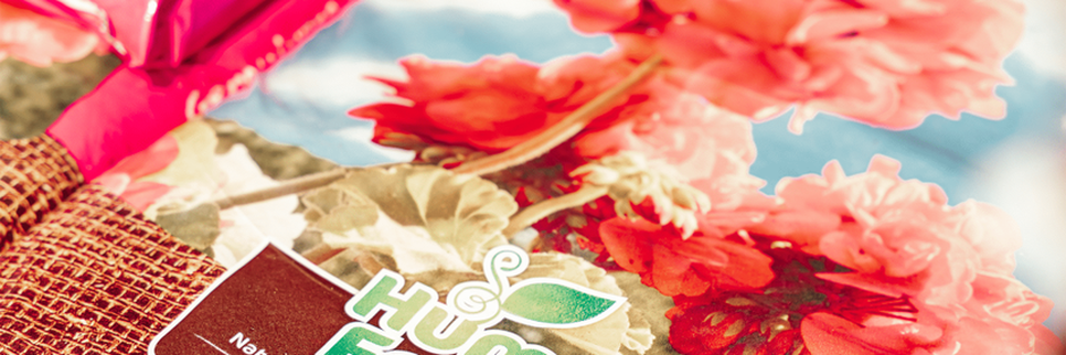 Jardisart - Magasin - 