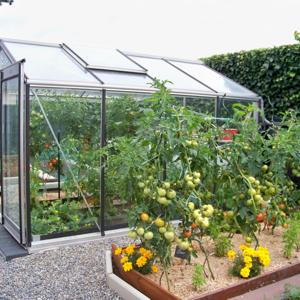 Jardisart - Actualité - Action sur les serres Prestige ACD