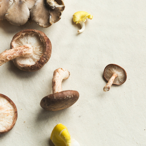 Ballots de champignons