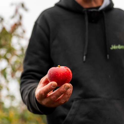 Jardisart - Des fruits l'année prochaine ?